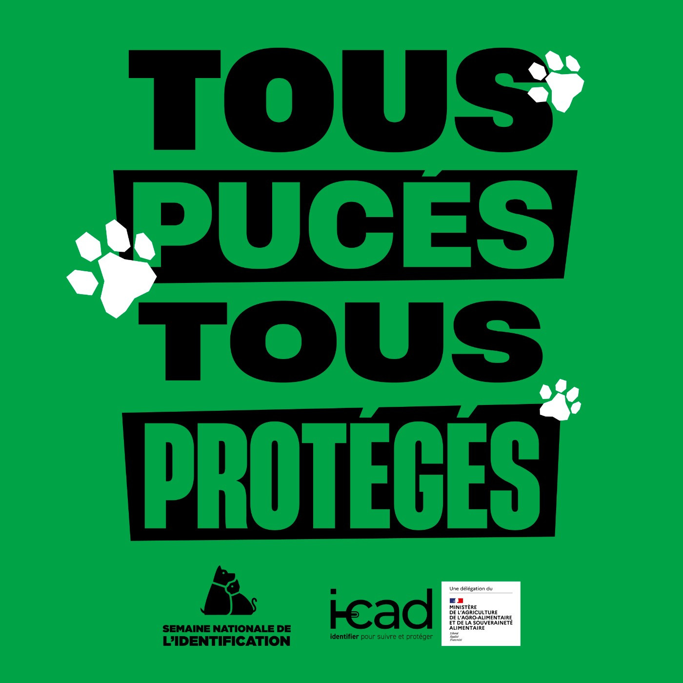 TOUS PUCE TOUS PROTEGE
