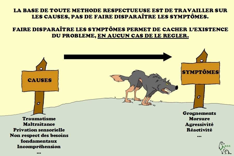 CAUSES ET SYMPTOMES