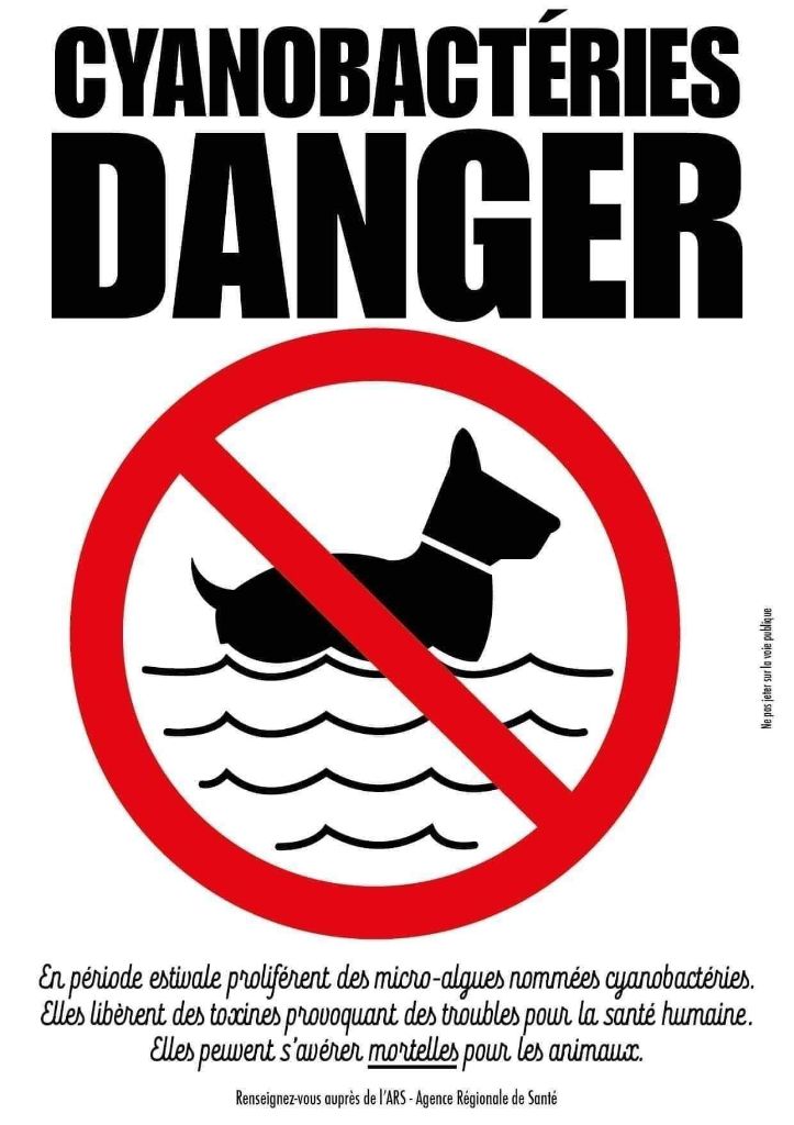 CYANOBACTERIES DANGER