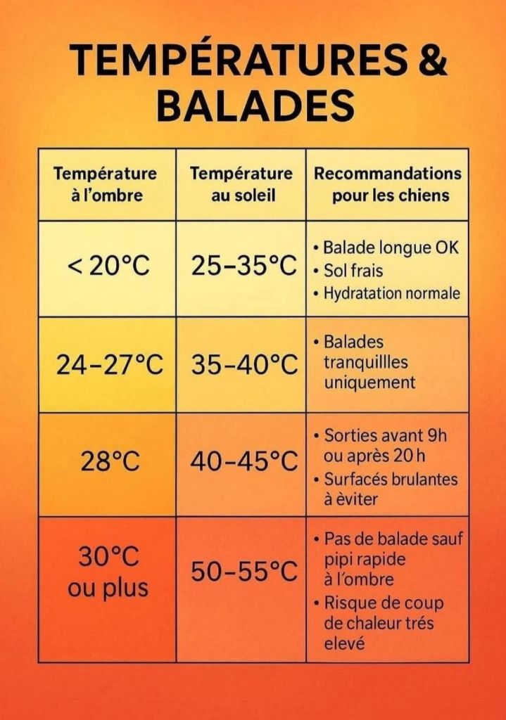 BALADES ET TEMPERATURES