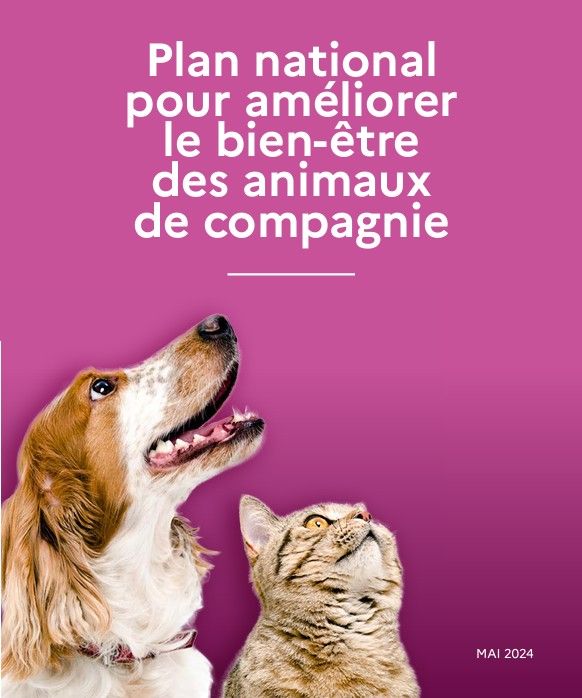 FORMATION EDUCATEUR CANIN ACACED