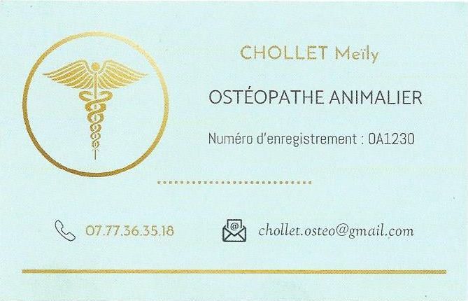 OSTEOPATHE ANIMALIER