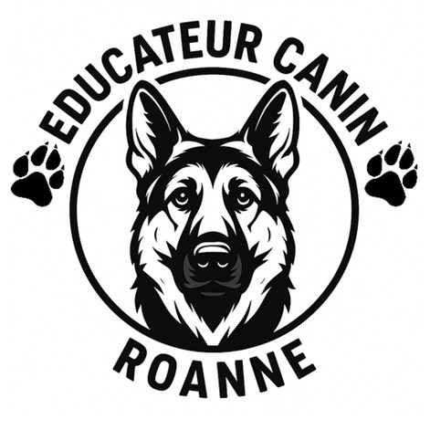 De La Plaine Du Roannais